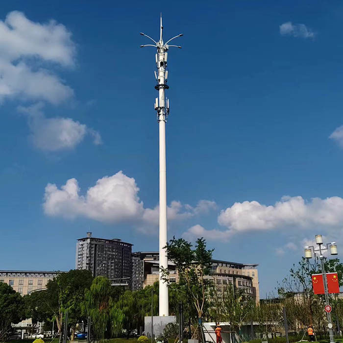 Monopoles de telecomunicaciones galvanizados a presión caliente con plataforma o antena