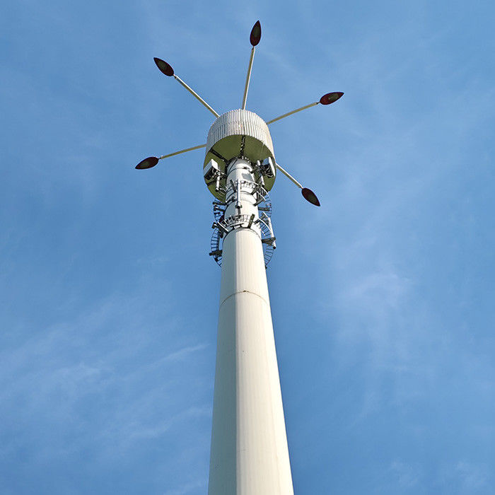 Diseño de altura y viento personalizable para postes de telecomunicaciones con informe de análisis de la estructura del poste de acero