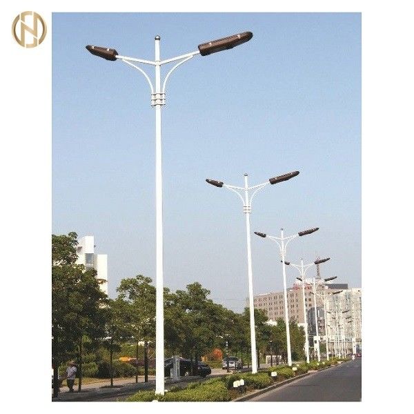 3m 6m 8m 12m Galvanizado en caliente Pollo de luz octagonal