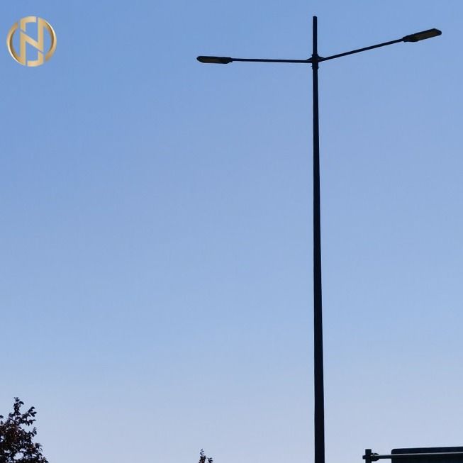 IP65 400W el poste de la lámpara de calle de la fundición de aluminio rocía color pintado